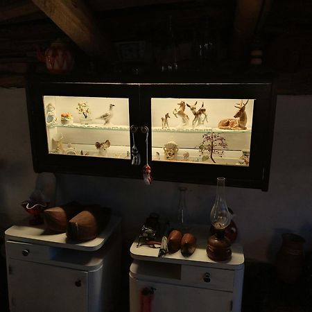 Apartman Katarina Backi Monostor Екстериор снимка
