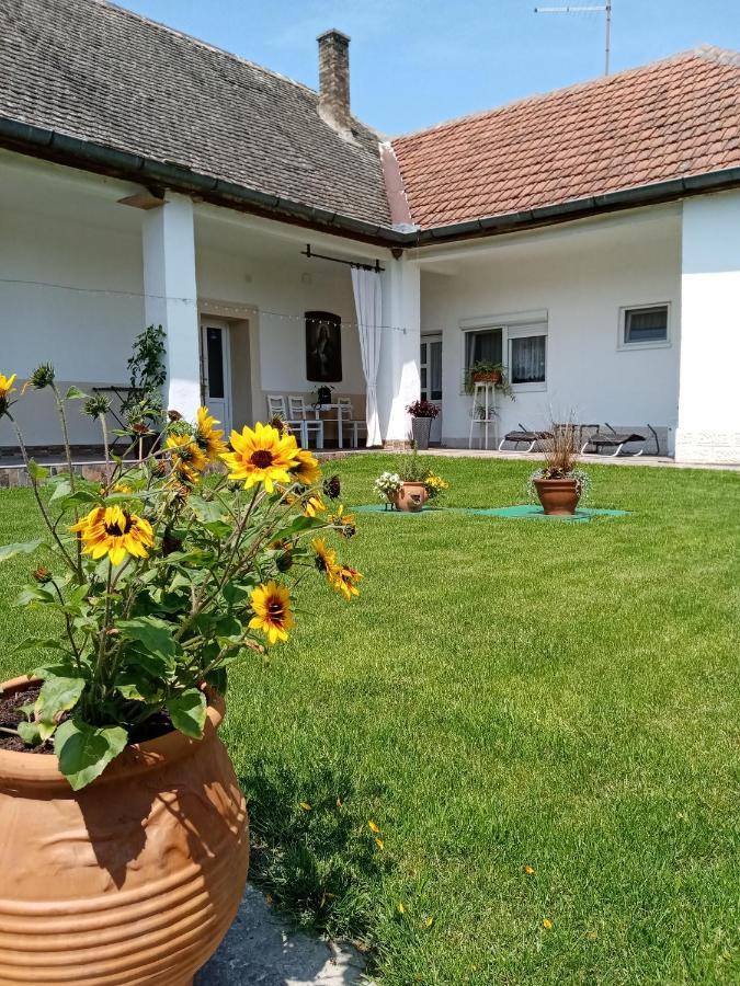 Apartman Katarina Backi Monostor Екстериор снимка