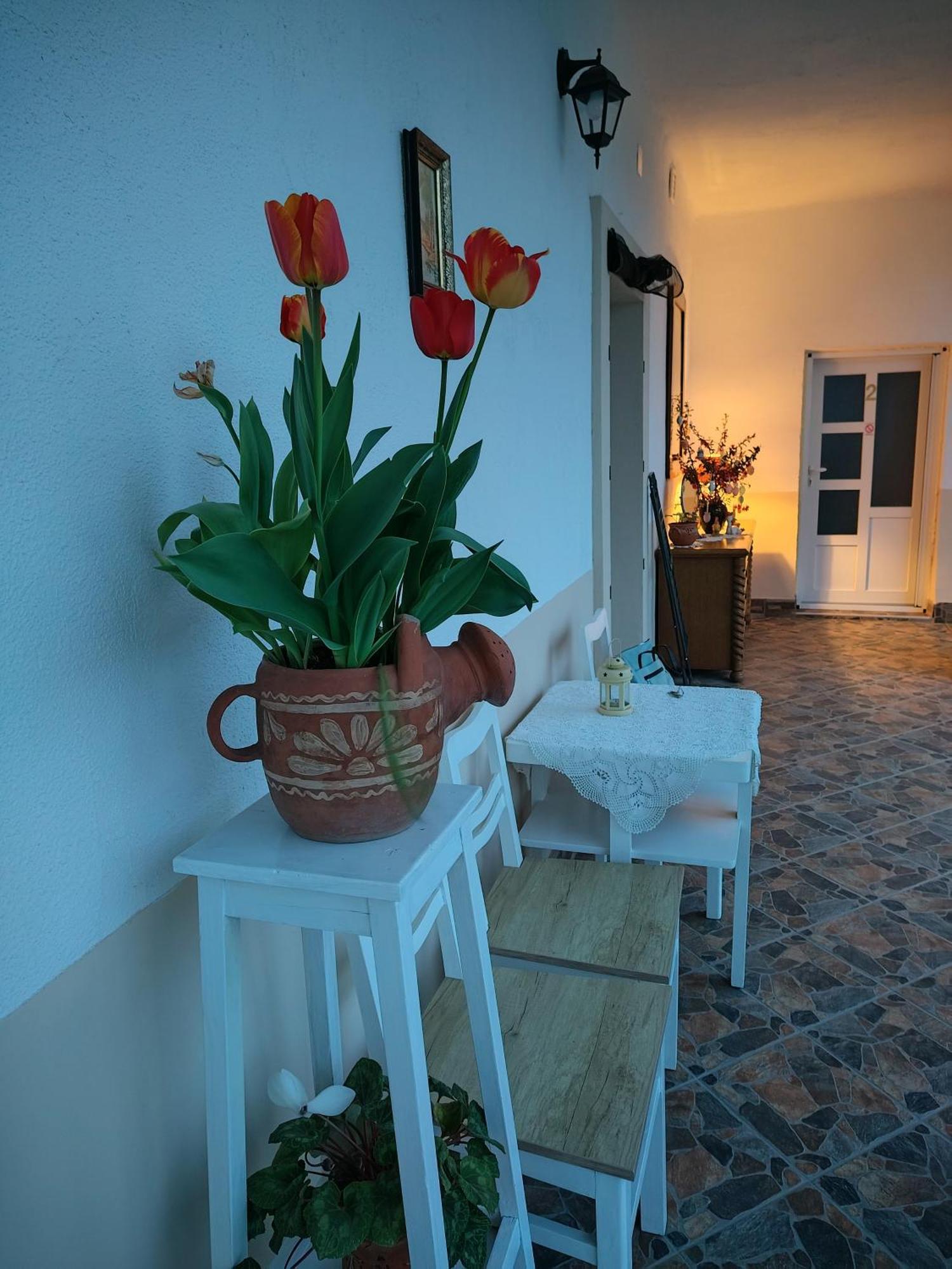 Apartman Katarina Backi Monostor Екстериор снимка
